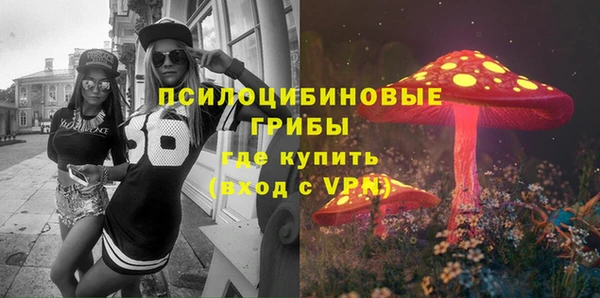 твердый Армянск