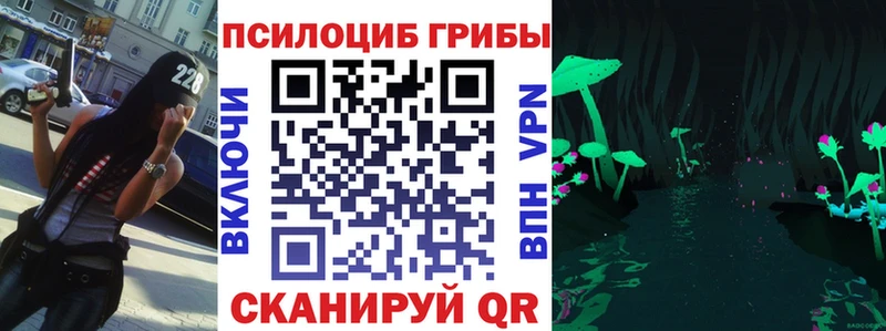 Галлюциногенные грибы MAGIC MUSHROOMS  цена наркотик  Бавлы 